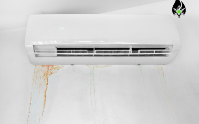 How to Prevent Mold in Your AC