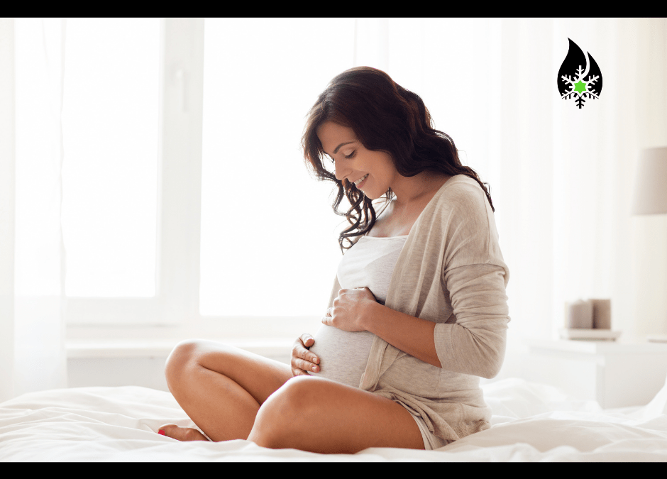 How Does Air Quality Affect Pregnancy?