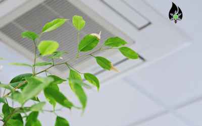 7 Tips to Improve Indoor Air Quality
